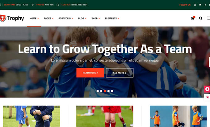 Gig Preview - Build football website soccer academy website basketball website, sport website