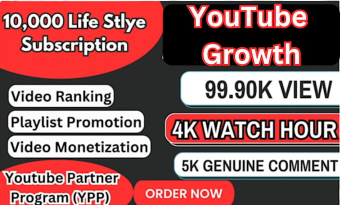 Gig Preview - Video engagment youtube channel promotion strategy for monetization subscription