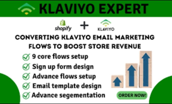 Gig Preview - Set up klaviyo email marketing flow to nurture leads, boost business conversion