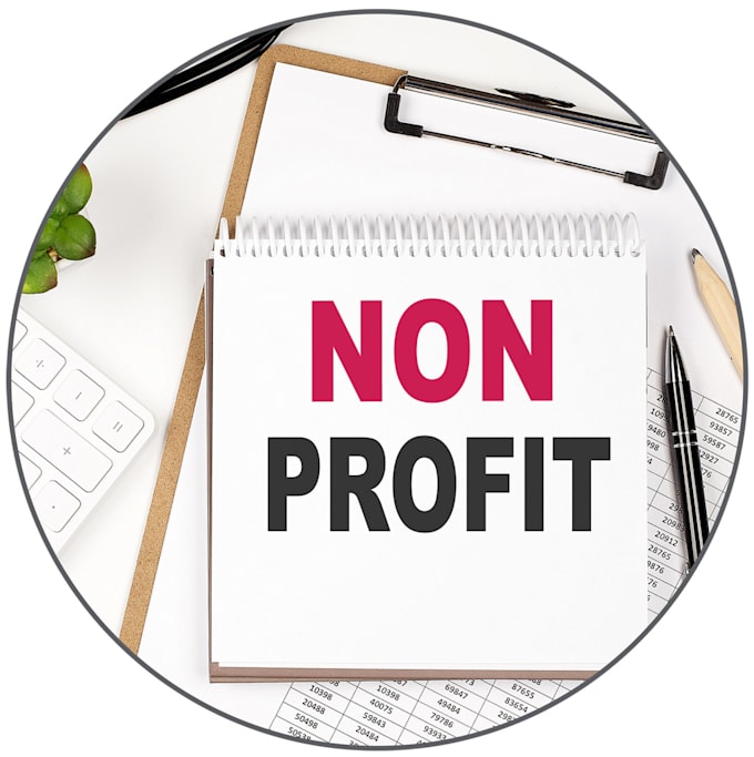 Gig Preview - File your nonprofit business tax returns