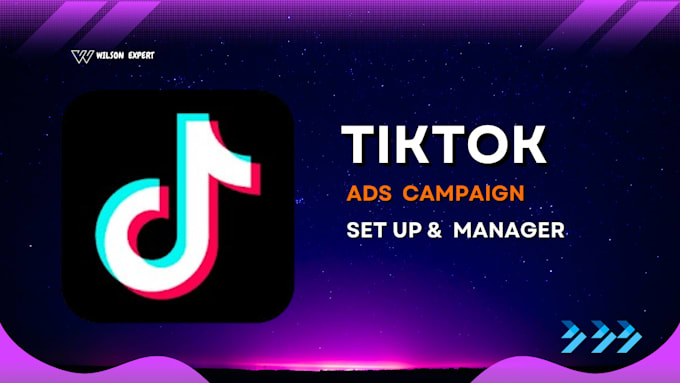 Gig Preview - Setup and manage tiktok ads campaign, tiktok ads, tik tok advertising