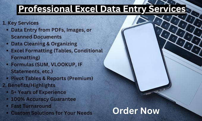 Gig Preview - Do accurate excel data entry,spreadsheet management services