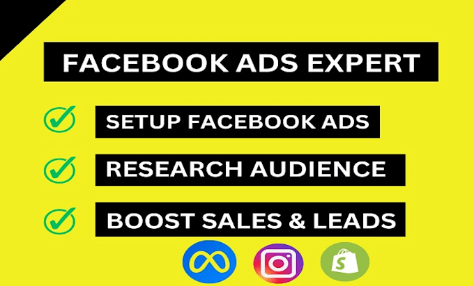 Gig Preview - Be your facebook ads campaign manager, run shopify ads for leads and sales