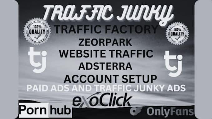 Gig Preview - Setup and manage your traffic junky and exoclick campaign