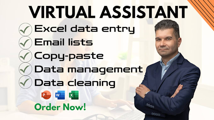 Gig Preview - Do fast and accurate excel data entry and virtual assistant