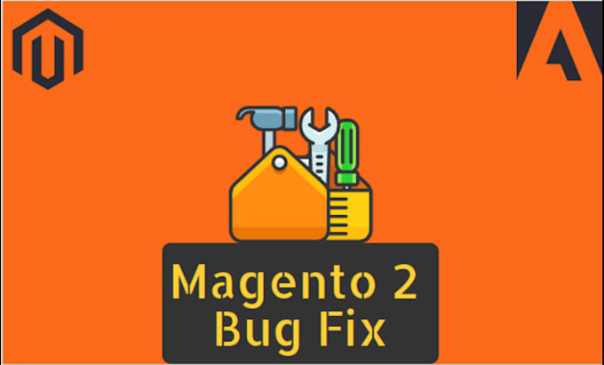 Gig Preview - Fix your magento 2 bug