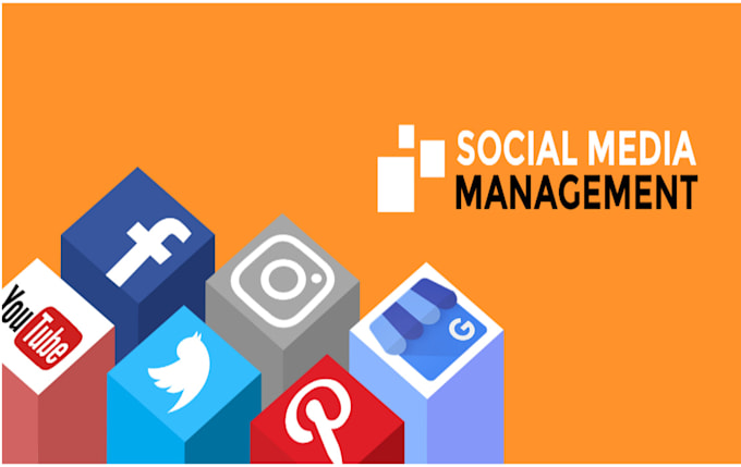 Gig Preview - Give expert social media management