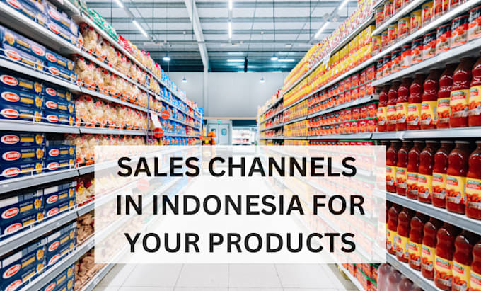 Gig Preview - Find reliable distributors and sales channels in indonesia for your products