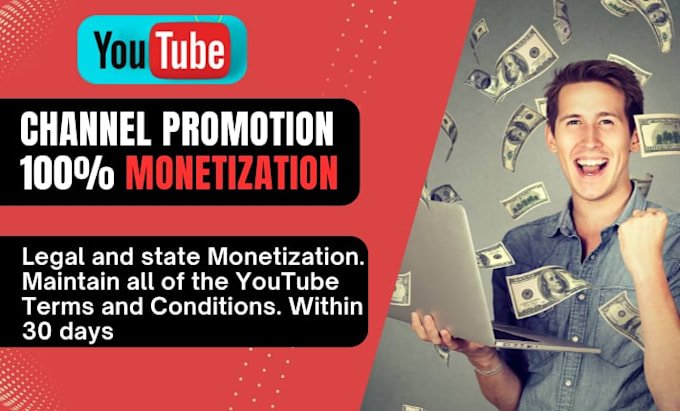 Gig Preview - Do youtube video promotion and organic growth