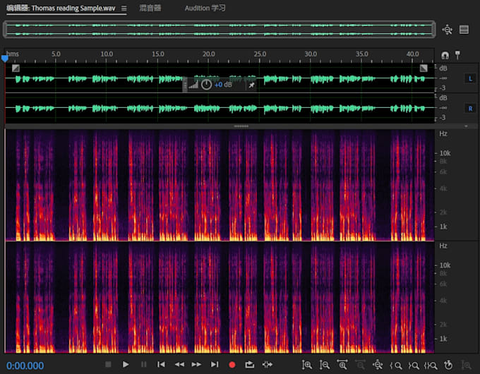 Gig Preview - Do voice over for audio projects