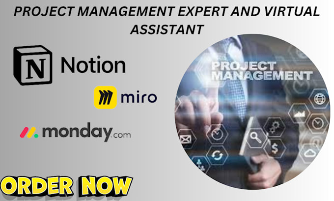 Gig Preview - Manage your projects tasks using notion miro monday CRM