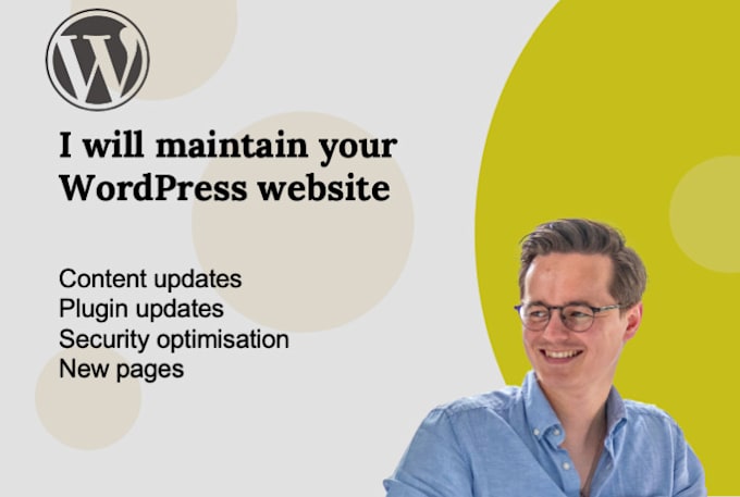 Gig Preview - Perform maintenance and updates on your wordpress website