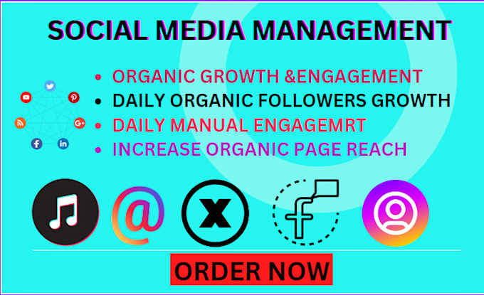 Gig Preview - Do super fast organic instagram growth grow tiktok shop facebook pages