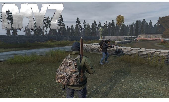 Gig Preview - Set up a dayz server with custom mods and scripts