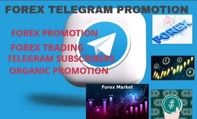 Gig Preview - Grow your forex telegram project, organic telegram subscriber and channel growth