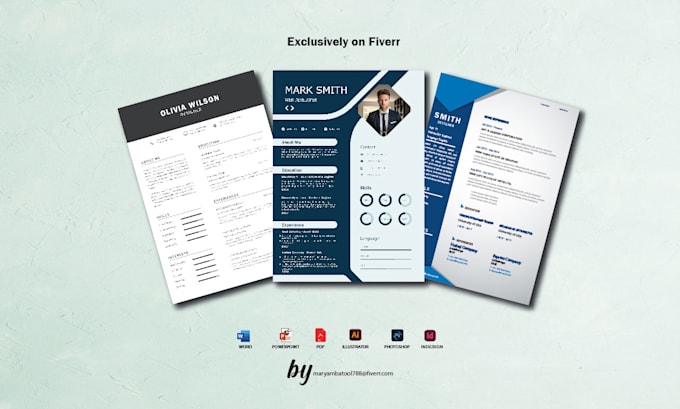 Gig Preview - Make professional CV and resume design executive and federal resume linkedin