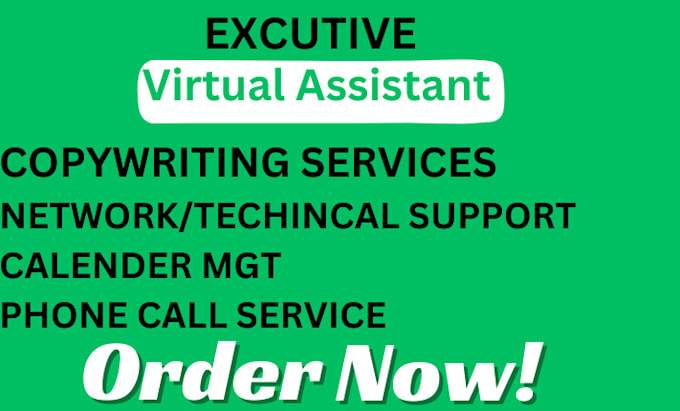 Gig Preview - Virtual assistant executive assistant