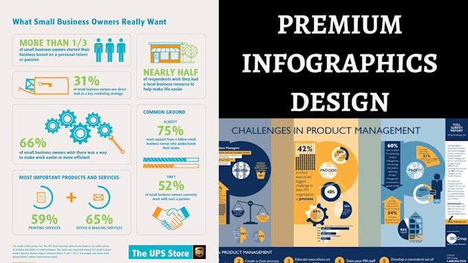 Gig Preview - Do amazon products business infographics bol custom infographics chart design