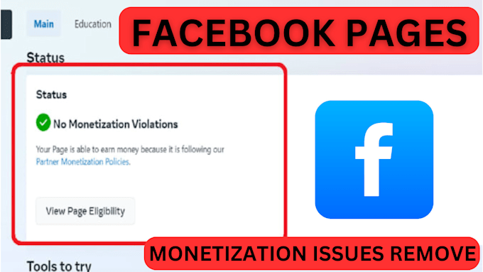 Gig Preview - Facebook page monetization issue remove in 30 minute