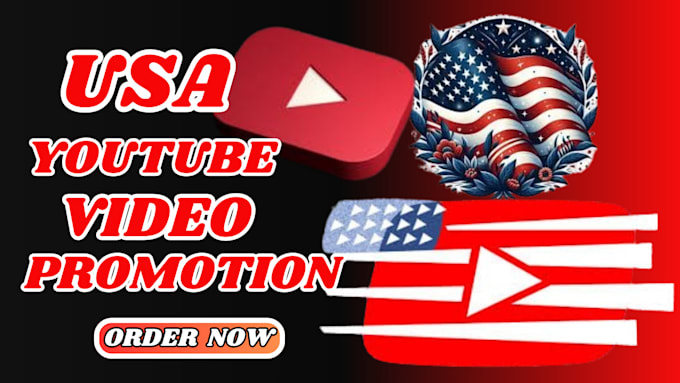 Gig Preview - Do USA youtube video promotion to get USA views and audience