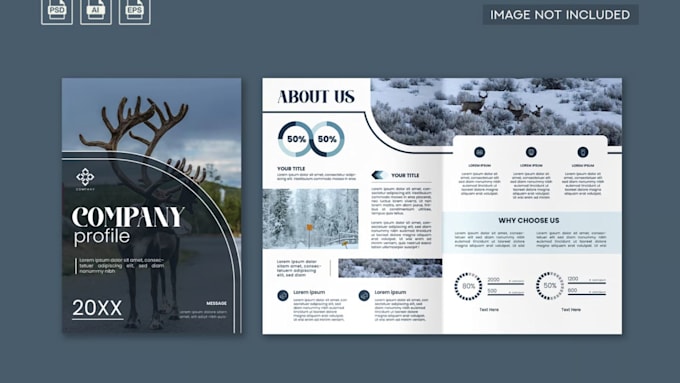 Gig Preview - Design corporate company profile business proposal bifold and trifold brochure