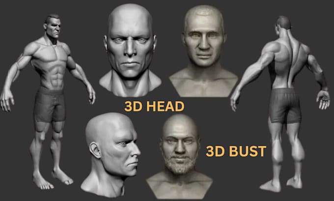 Gig Preview - Sculpt 3d head realistic face bust portrait, action figure, full body model