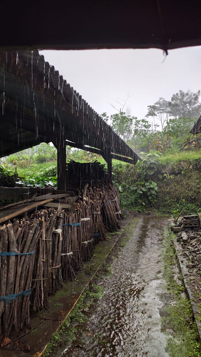 Gig Preview - Short video of rain in indonesia