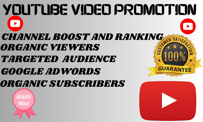 Gig Preview - Do super fast organic youtube video promotion