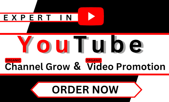 Gig Preview - Do youtube video promotion, organic channel monetization, seo algorithm