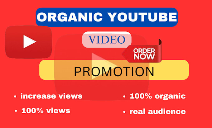 Gig Preview - Do organic youtube promotion and monetization