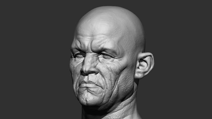 Gig Preview - Digital sculpt 3d head model, 3d articulated model, action figure, 3d printing