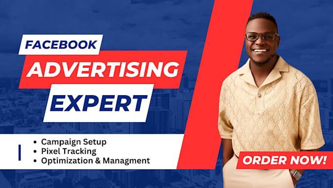 Gig Preview - Setup and manage facebook ads instagram ads advertising and marketing campaign