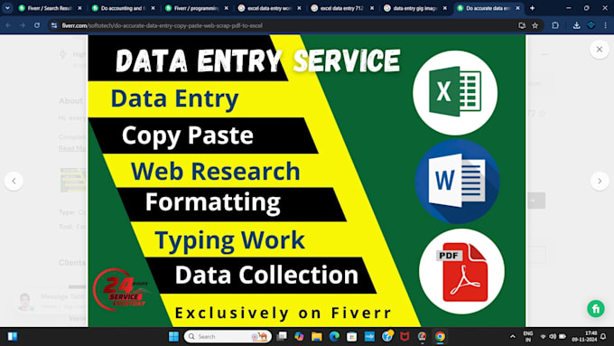 Bestseller - do ms excel data entry and analyses, much more that you want