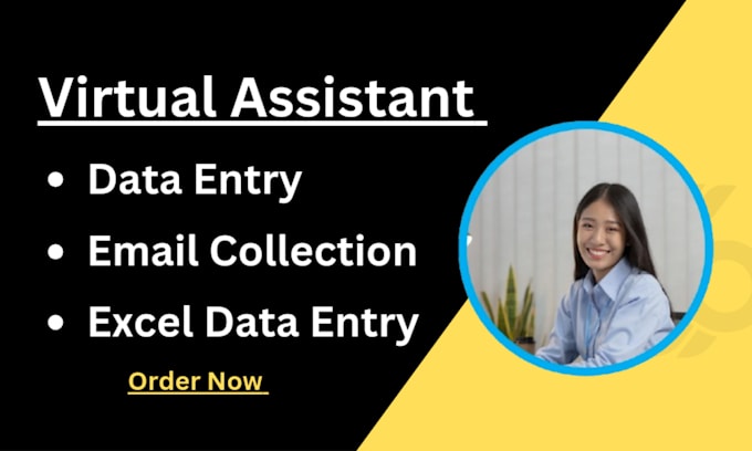 Bestseller - do accurate data entry for your business