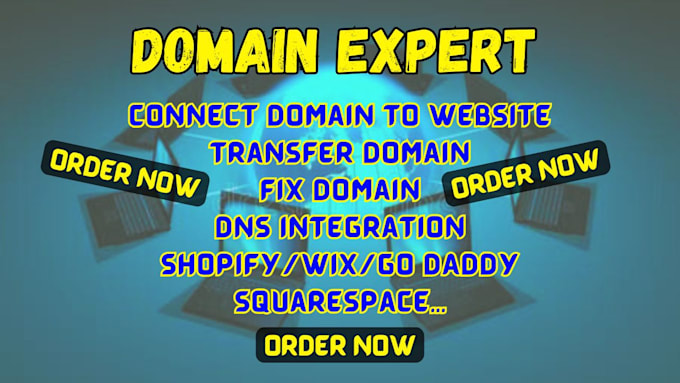 Gig Preview - Connect domain transfer domain connection fix domain on website, shopify