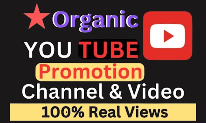 Gig Preview - Do organic youtube promotion for your video to boost views