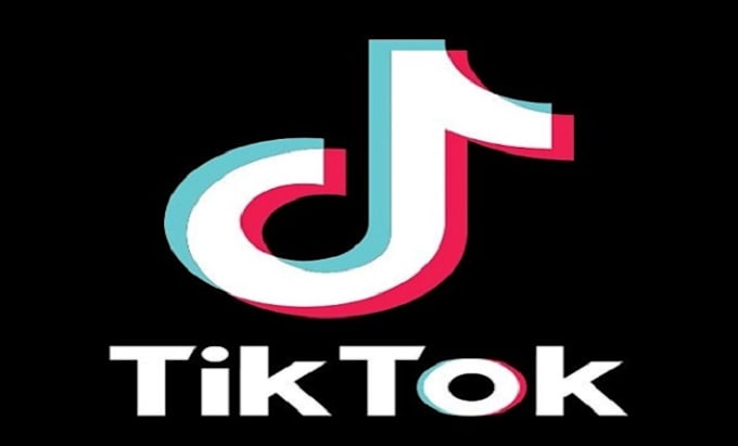 Gig Preview - Make tiktok dance to your music to trend viral, dance video, dance choreography