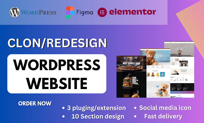 Gig Preview - Convert clone, copy wordpress website design with elementor