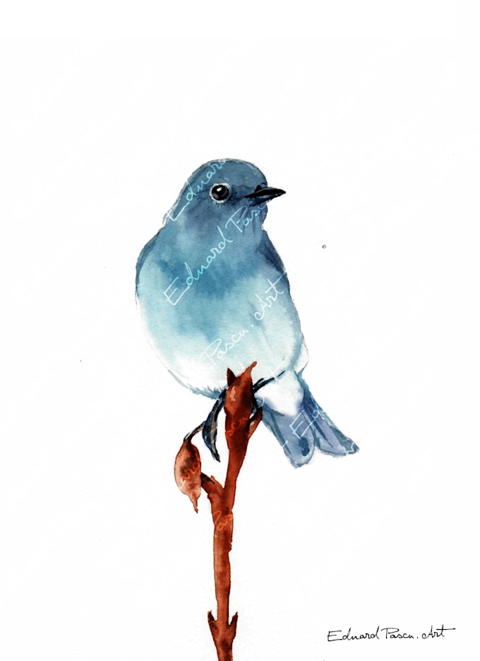 Gig Preview - Create realistic bird illustration in watercolor