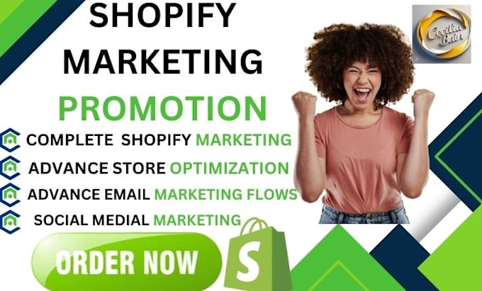 Gig Preview - Do shopify marketing  promotion advanced email flows store optimization