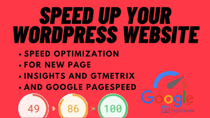 Gig Preview - Speed up wordpress website for google pagespeed insights