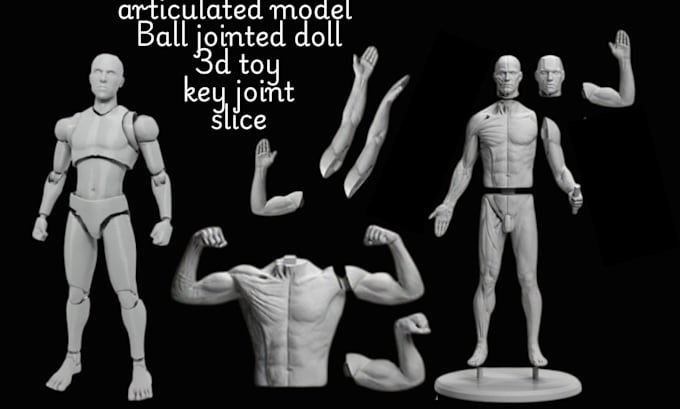 Gig Preview - Do 3d bjd ball jointed doll 3d toy action figure articulated model for 3d print