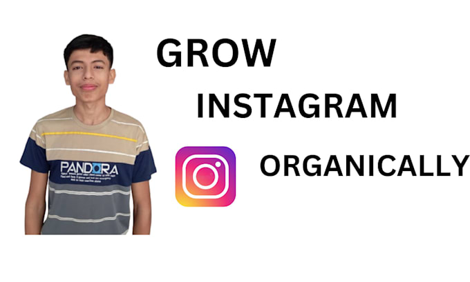 Gig Preview - Do super first organic instagram growth expert