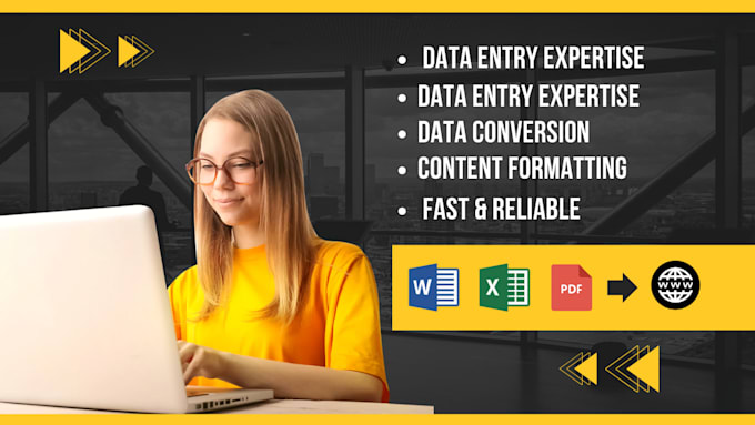 Gig Preview - Provide data entry content upload services