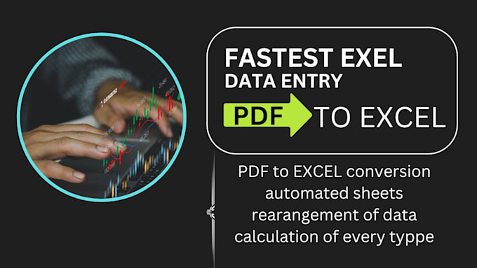 Gig Preview - Do fastest excel data entry, PDF to excel