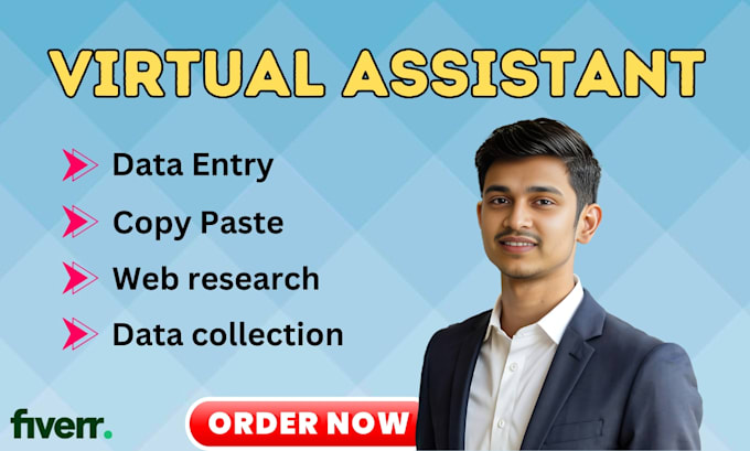 Gig Preview - Be your virtual assistant for data entry, web research, copy paste