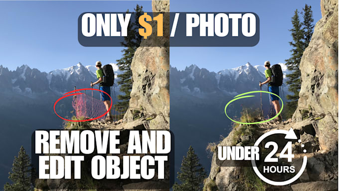 Gig Preview - Remove object and move object in photos