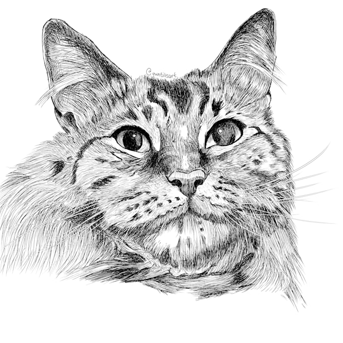 Bestseller - draw your cute cat realistically with pen