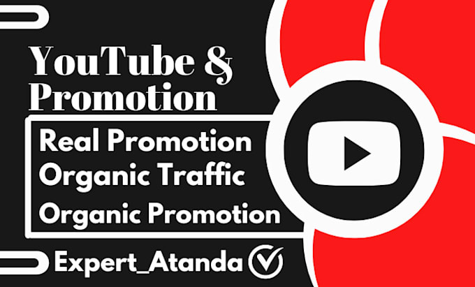 Gig Preview - Do super fast organic USA youtube channel promotion