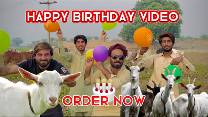 Gig Preview - Wish or create funny happy birthday video within 6 hours